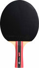 Cornilleau Sport 300 Indoor-Tischtennisschläger