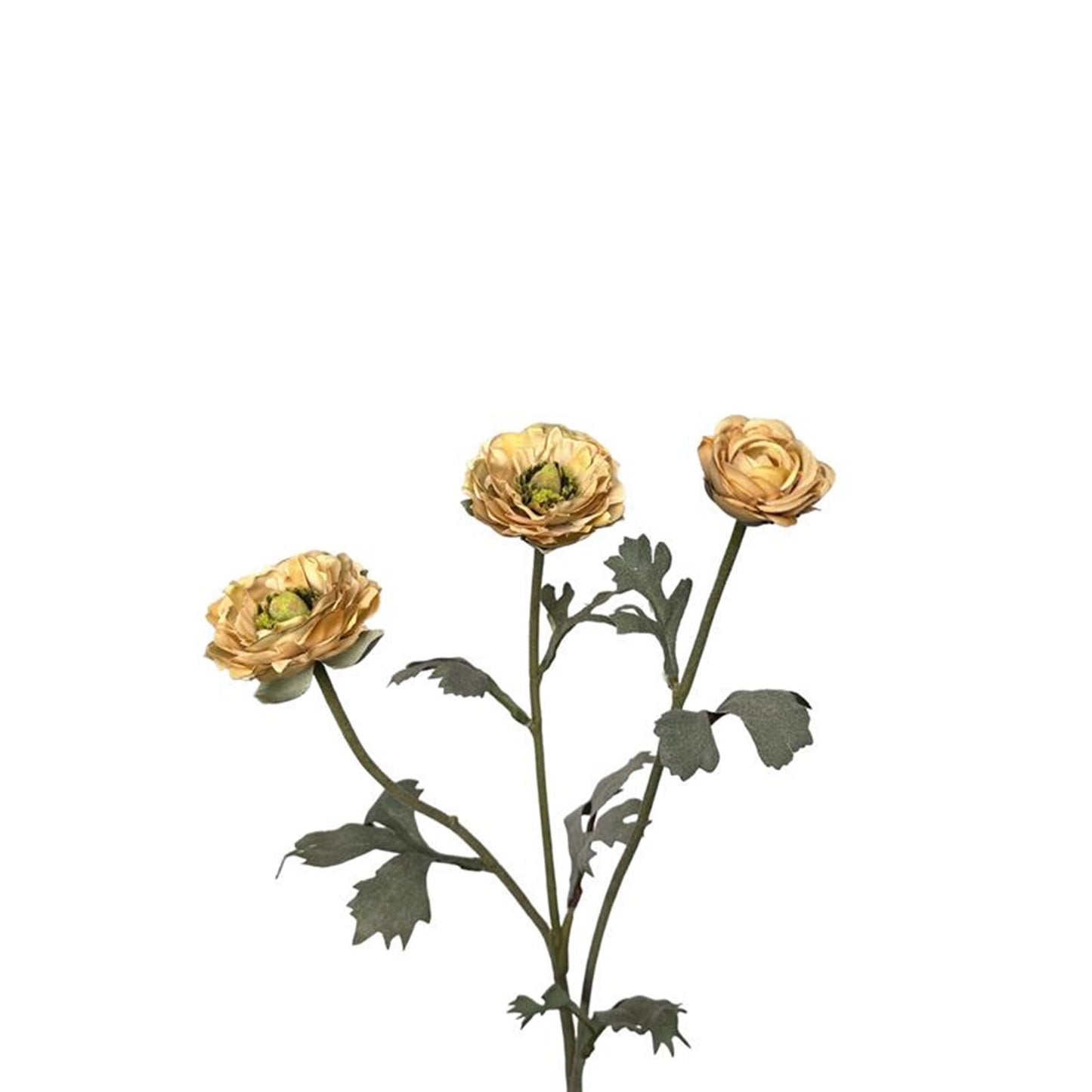 Künstliche Blumen-Ranunkeln aus der Roberts-Kollektion, 48 cm, cremefarben