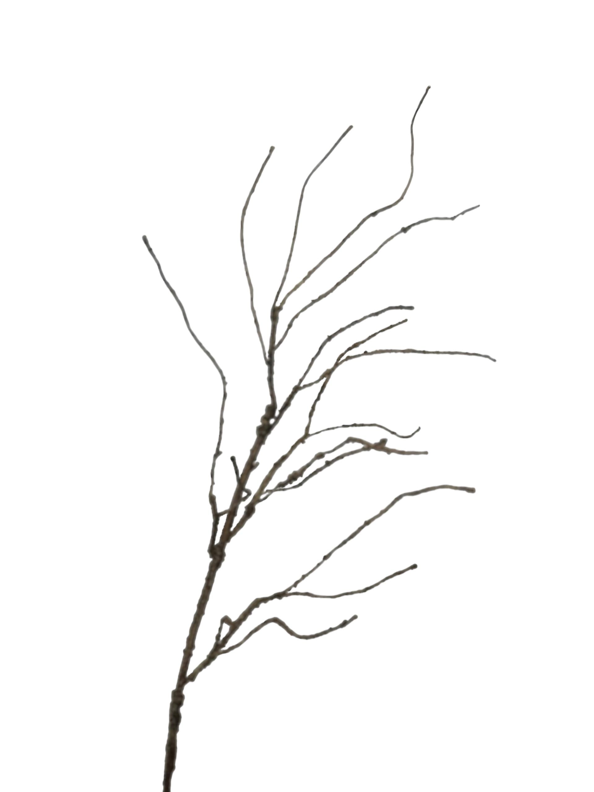 Roberts Collection künstlicher Astzweig braun 110 cm