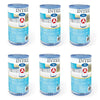 Intex 29000 Filterpatrone Typ A 6 Stücke für Schwimmbad 244 305 366 cm