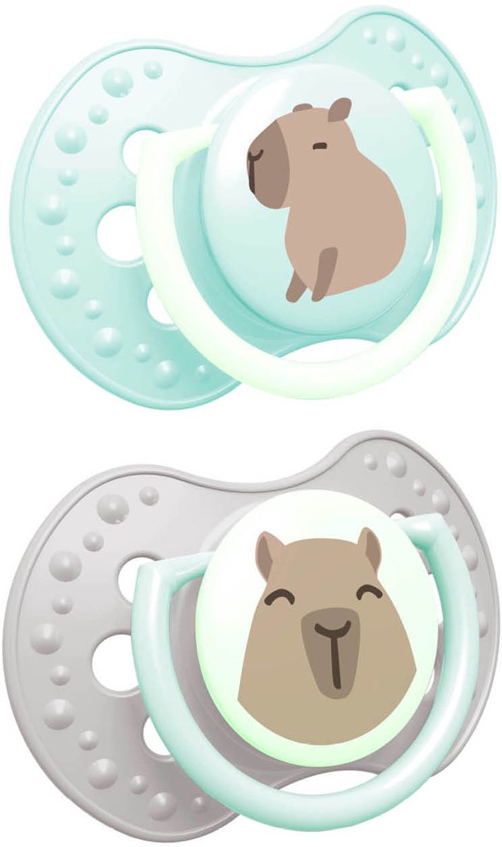 Difrax Lovi Schnuller dynamisch – edel – 0 bis 6 Monate – Capybara – grün grau – 2 Stück