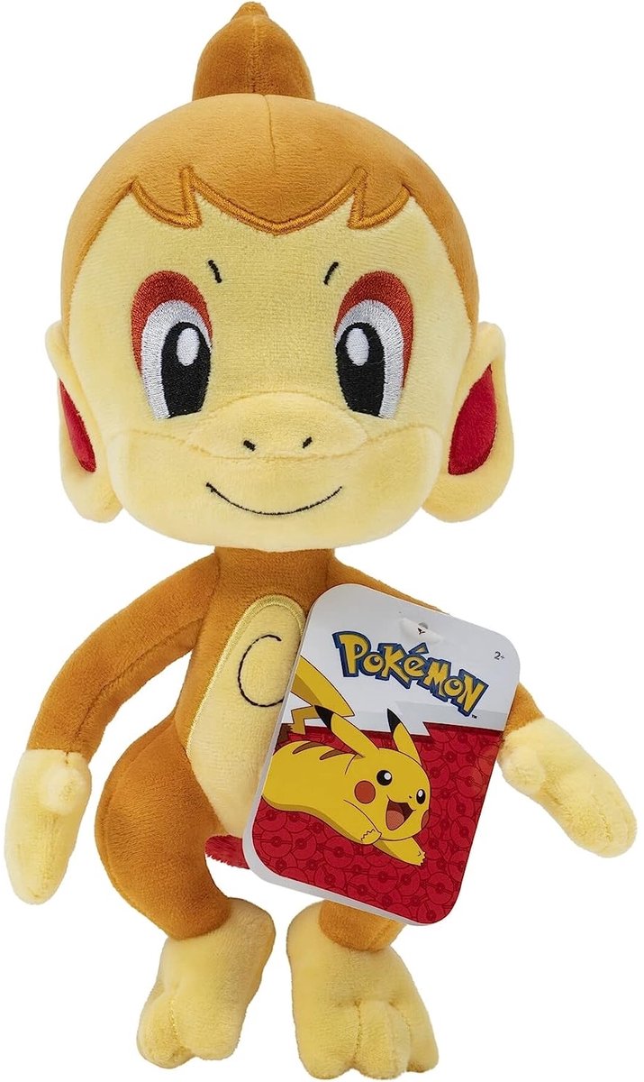 Pokémon