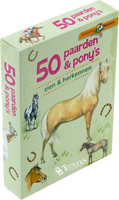 Story Factory Expedition Natur 50 Pferde sehen und erkennen Ponys