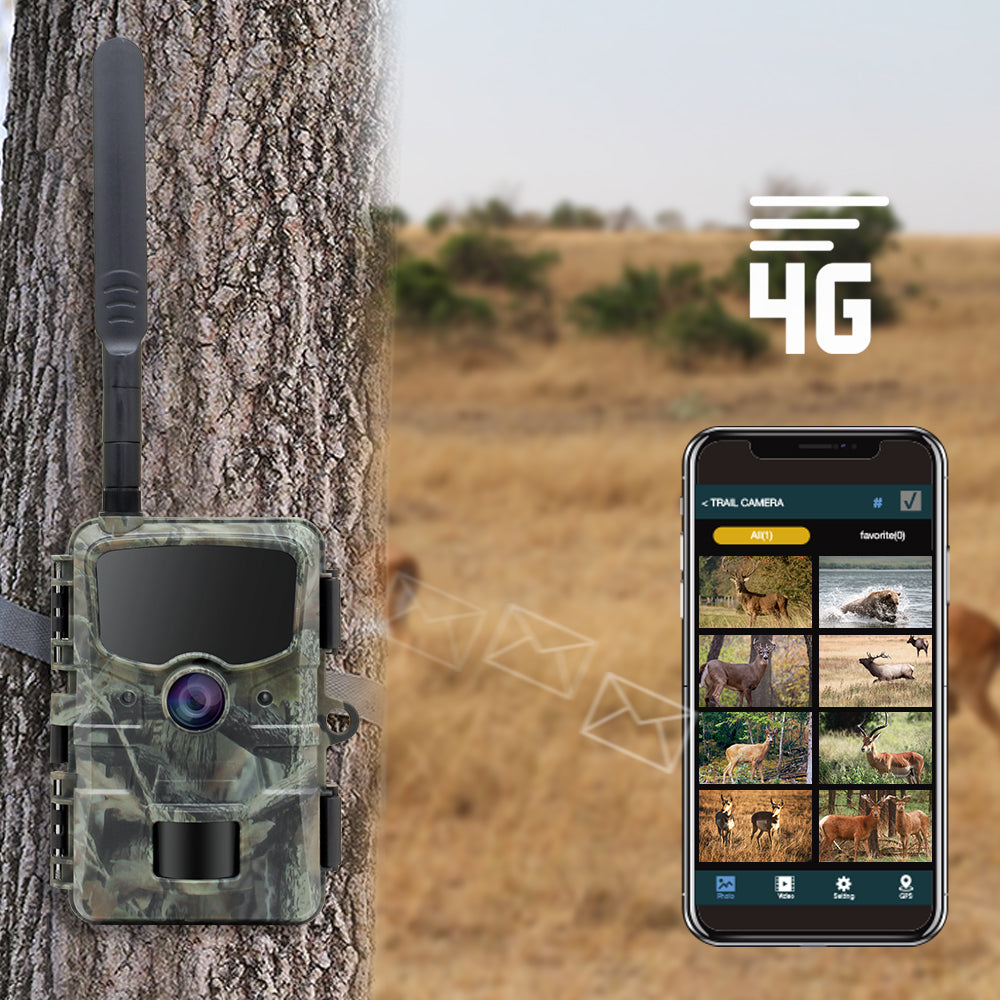 Stealth Gear Hedgehog 1080p 4G Wildkamera