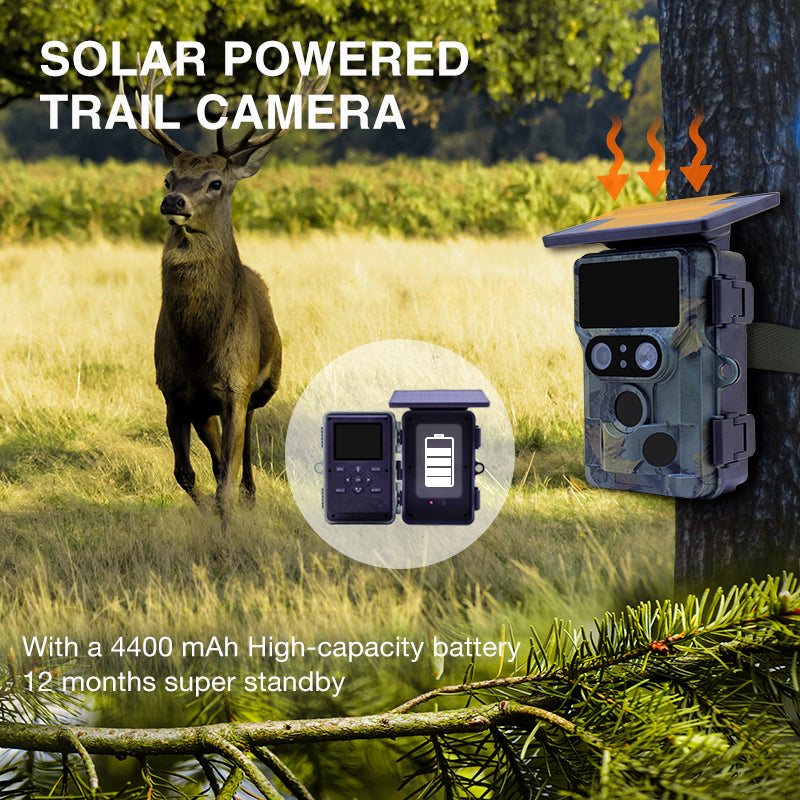 Stealth Gear Nightjar Dual-Cam Solar 4K Wifi Wildkamera