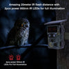 Stealth Gear Nightjar Dual-Cam Solar 4K Wifi Wildkamera