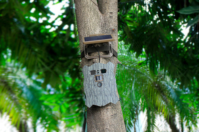 Stealth Gear Owl Solar 4K WiFi Wildkamera