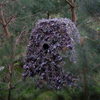 Buteo -Foto -Ausrüstung Buteo Fotokarme Hybrid Camoufagenet Natural Green 1,5x3 m