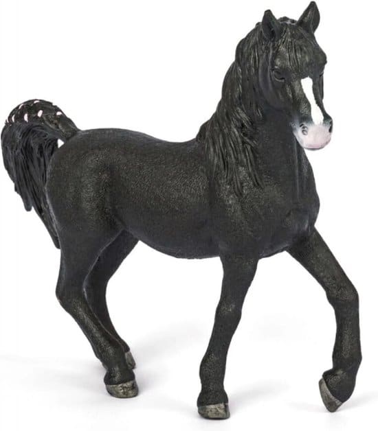 Abi Horse Arabian Hengst 72134