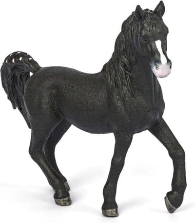 Abi Horse Arabian Hengst 72134