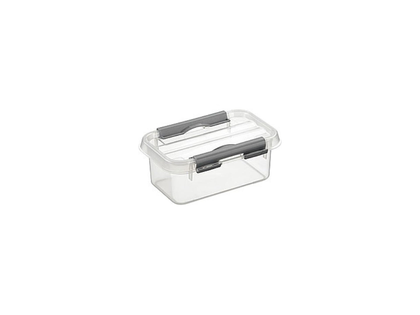 Sonnenwaren Sonnenwaren Q-Line Storage Box 0,5L Transparent Silber