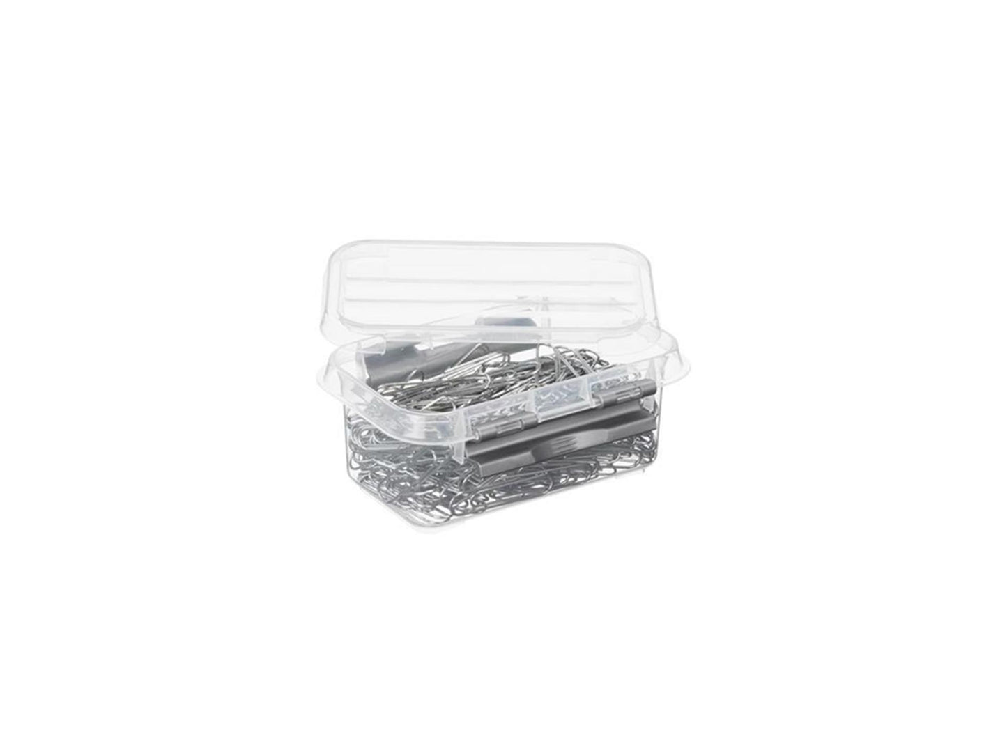 Sonnenwaren Sonnenwaren Q-Line Storage Box 0,5L Transparent Silber