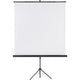 Projektionswand Franken X-Traline 150x150cm weiß
