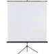 Projektionswand Franken X-Traline 200x200cm weiß