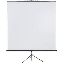 Projektionswand Franken X-Traline 240x240cm weiß
