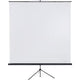 Projektionswand Franken X-Traline 240x240cm weiß