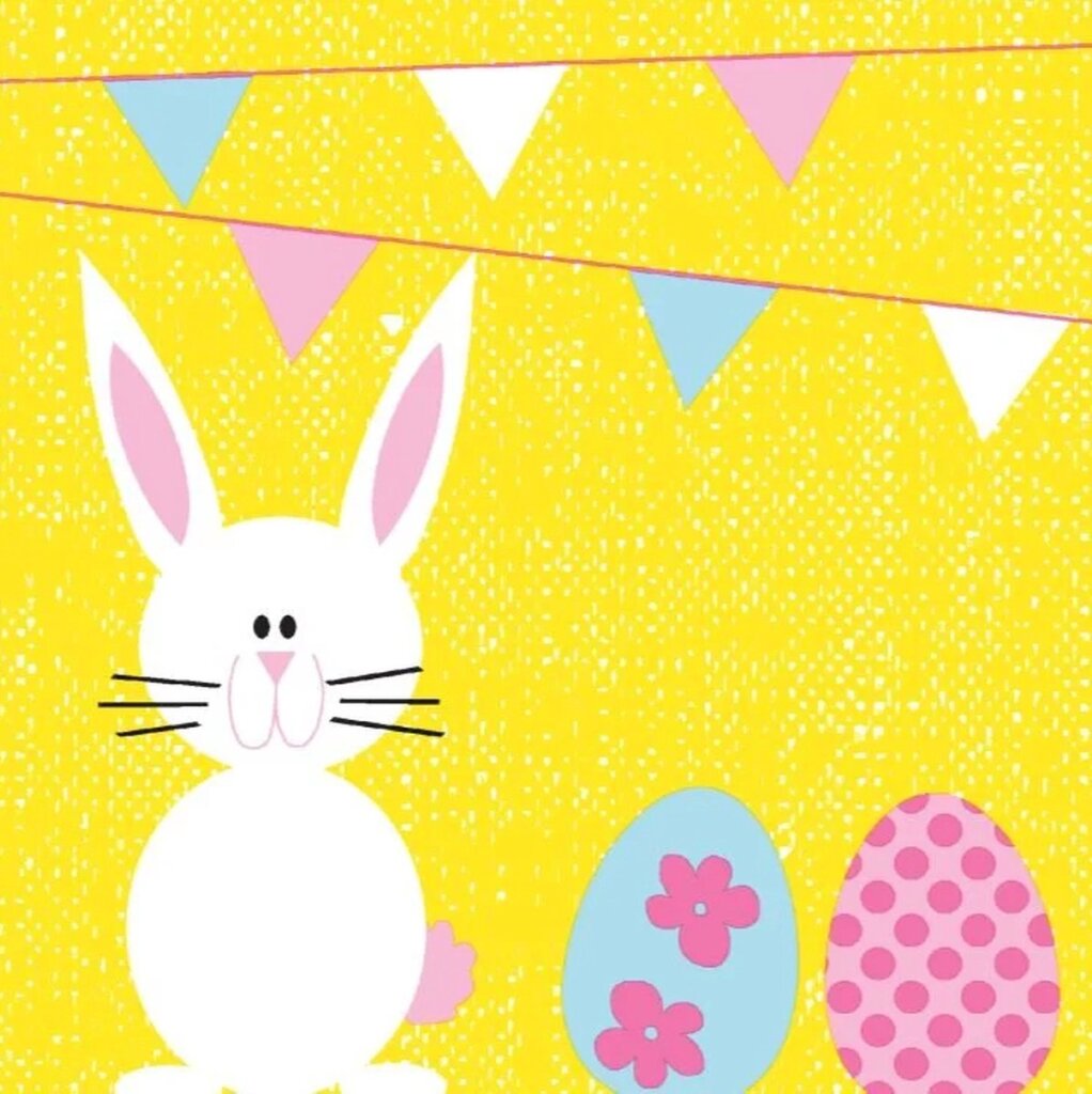 Duni Duni Servietten Bunny Eggs 3-Laags 33x33