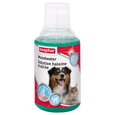 Beaphar Mundwasser