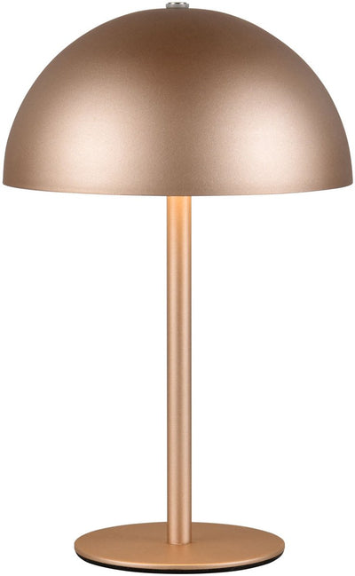 Rl lebe dein Licht Reality Munoz - Tischlampe - Mokka - inkl. 1x SMD 1,3 W - 4-Stufen-Touch - USB-Anschluss - wiederaufladbar - kabellos