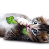 Petstagen Fresh Atem Mint Stick
