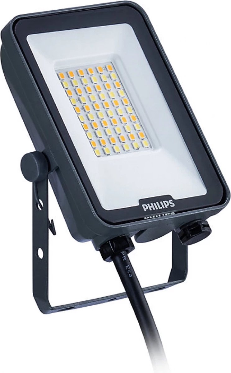 Philips LED Philips - LED-Flutlicht Ledinaire BVP167 Grau 30W 3600lm 40D - 830-840-865 | IP65 symmetrisch