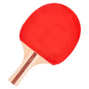 Alert Alert Sporttisch Tischtennis mit 2 Fledermäusen und 3 Bällen