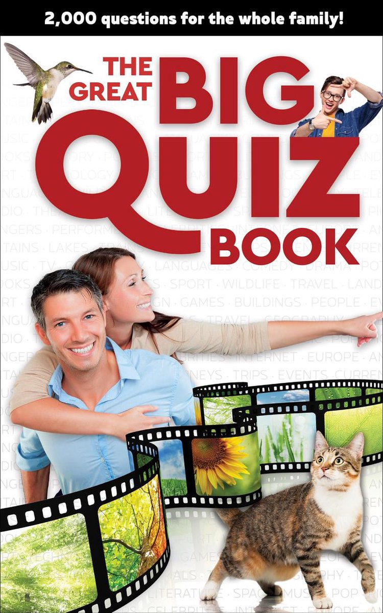 Das große große Quizbuch