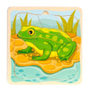 Tadelner Verringerungs -Puzzle -Zyklus -Frosch