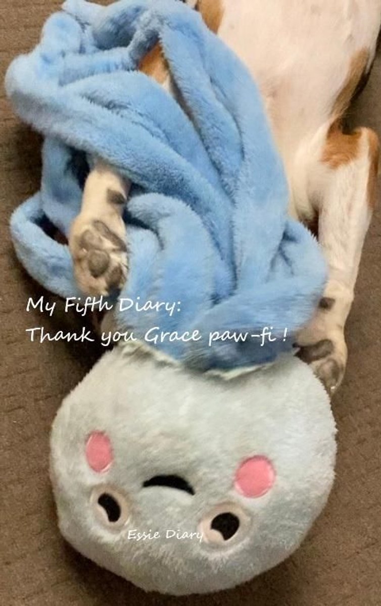 Mein fünftes Tagebuch: Danke, Grace, Paw-Fi!