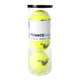 Engelhart -Tenniskugeln in Tube, 3..
