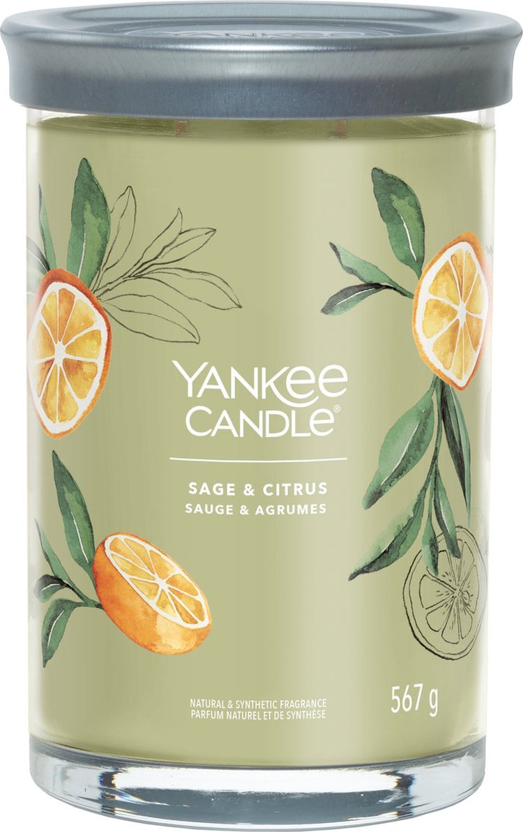 Yankee Candle – große Duftkerze mit Salbei- und Zitrusfrüchten – 100 Brennstunden – zwei Dochte
