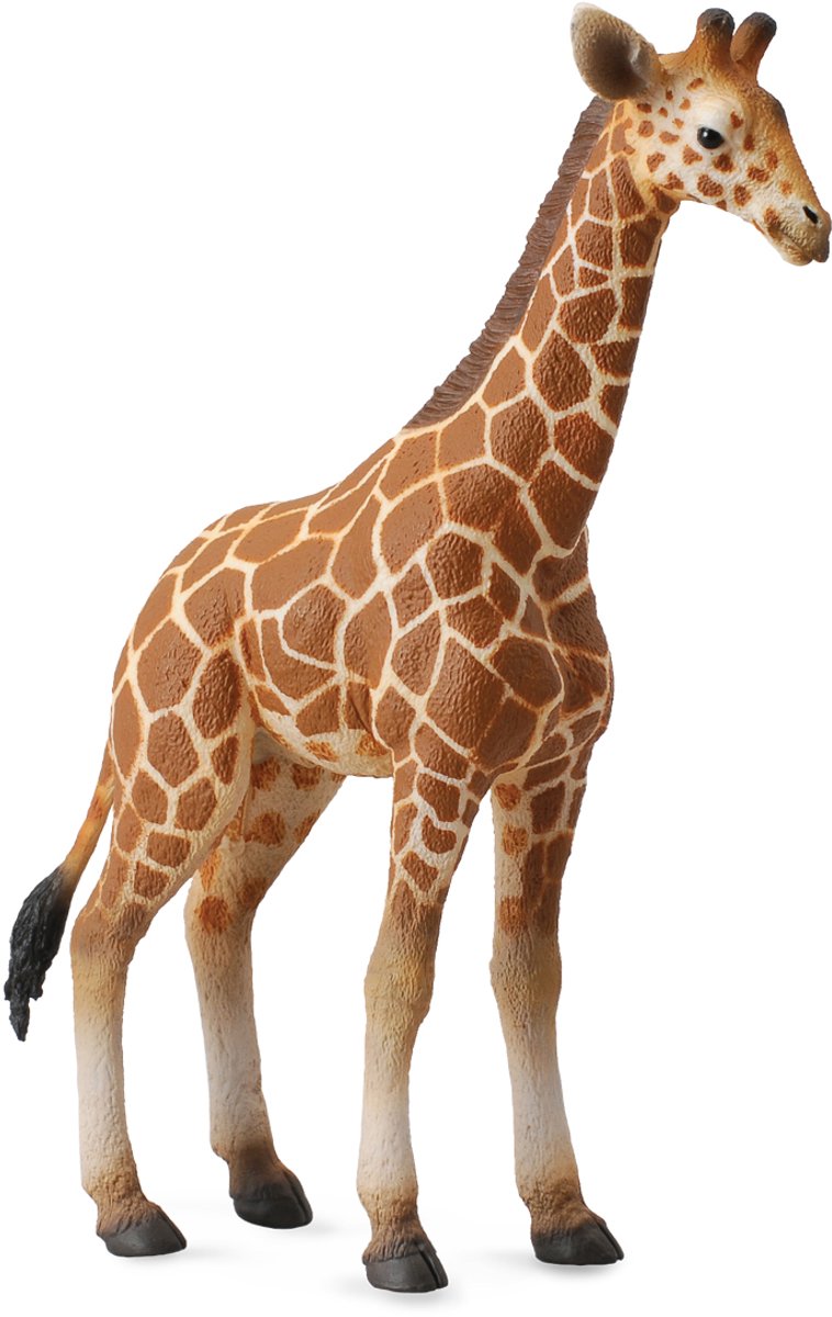 Collecta Figur - Giraffenkalb - (l) - wilde Tiere - handbemalt - Miniatur