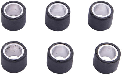 Spec-x Variomatik-Gewichtsrollenkern-Set 16 x 13 mm, 8,0 g, 6-tlg.
