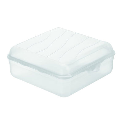 Rotho Fun Lunchbox eckig 2,35l transparent