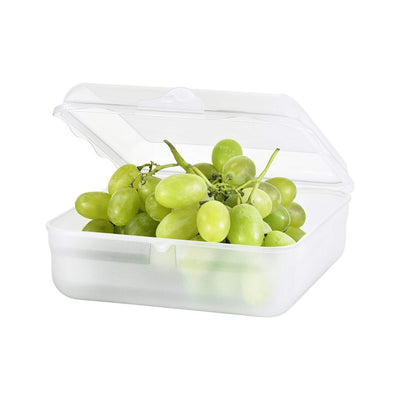 Rotho Fun Lunchbox eckig 2,35l transparent