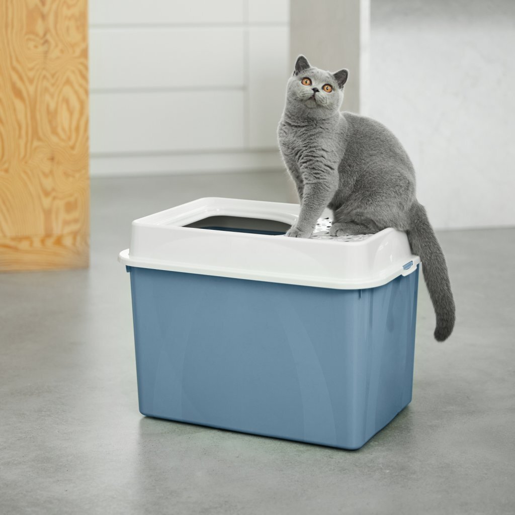 Rotho Rotho Berty Kattenbak mit blutendem blauem Sand