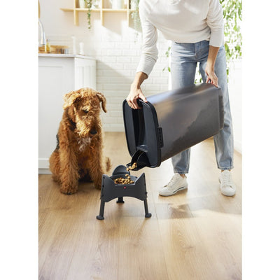 Rotho Rotho Cody Pet Futter Container 50 l Anthrazit transparent