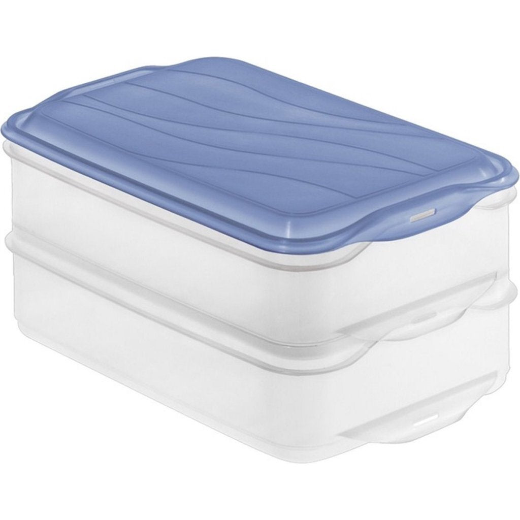 Rotho Rondo Fleischbox 2x1,35l Horizontblau transparent