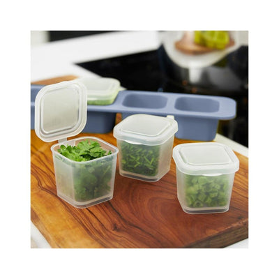 Rotho Mini-Gefrierboxen 4x0,05l Horizontblau transparent