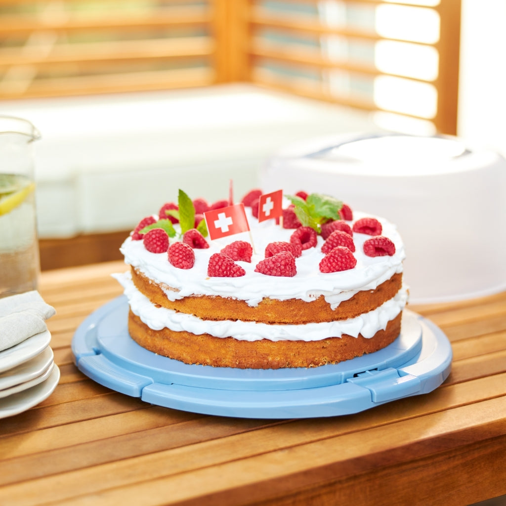 Rotho Rotho Fresho Cake Box Cooler Horizont Blau