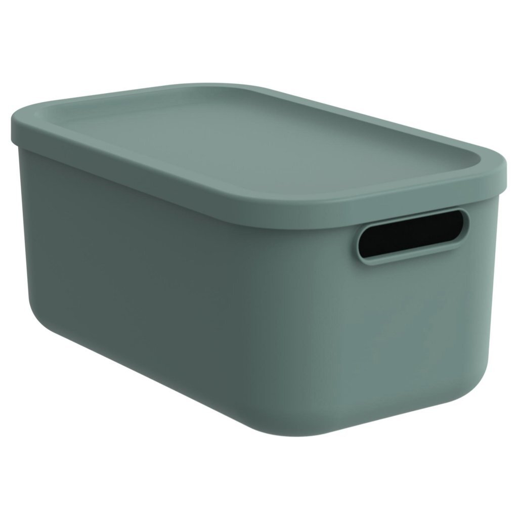 Rotho Decoration Storagebox Albula Light 12 l Mistelgrün