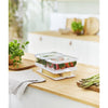 ROTHO ROTHO CAMUMA SET -Kühlschrank -Organizer 2.6L + 2x1.2L Transport