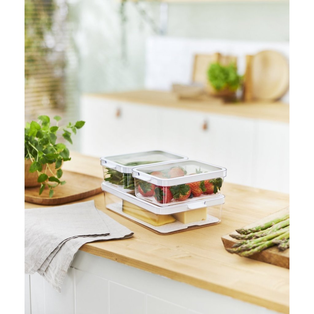 ROTHO ROTHO CAMUMA SET -Kühlschrank -Organizer 2.6L + 2x1.2L Transport