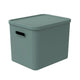 Rotho Albula Multibox 29,5x29x37 cm 27l Mistelgrün