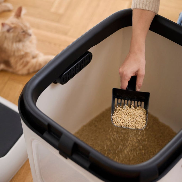 Rotho Mypet Biala XL Litterbox 61.4x49.2x57,6 cm Weiß