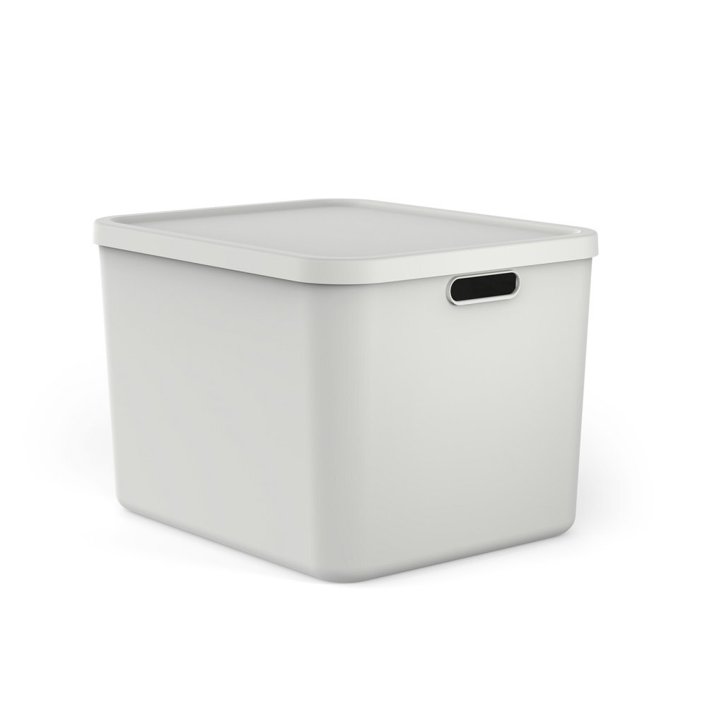 Rotho Albula Multibox 55l weiß