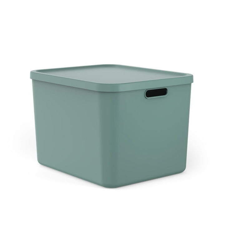 Rotho Albula Multibox 55l Mistelgrün
