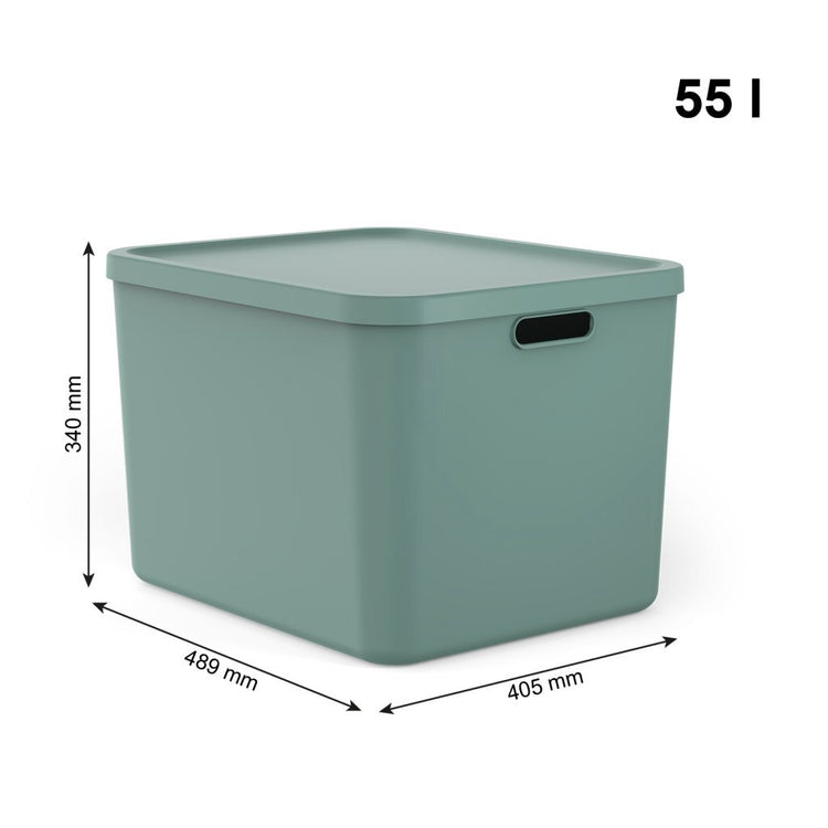 Rotho Albula Multibox 55l Mistelgrün