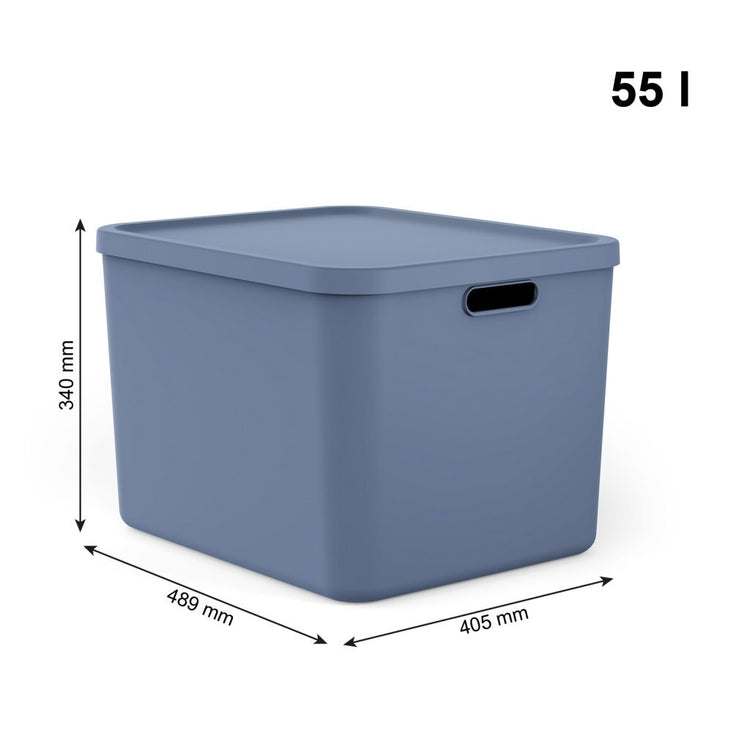 Rotho Albula Multibox 55l blau