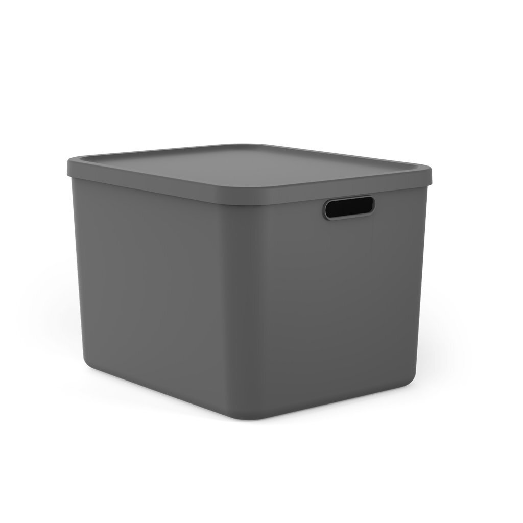 Rotho Albula Multibox 55l Anthrazit
